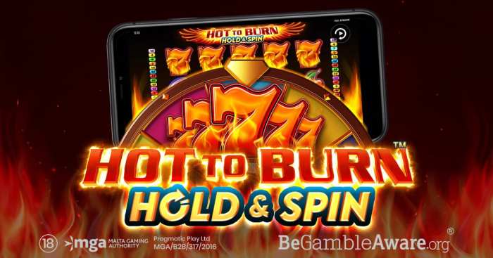 Panduan Terbaru Slot Hot to Burn Hold and Spin